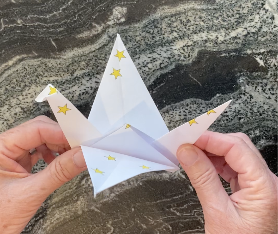 Bird Constellation Origami video thumbnail